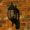 Lamp picture
